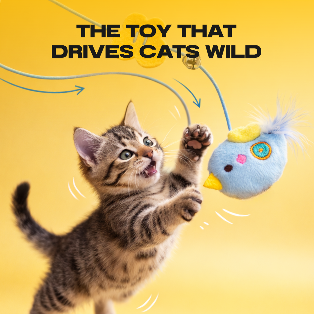 THE AUTOMATIC YO-YO TOY THAT DRIVES CATS WILD