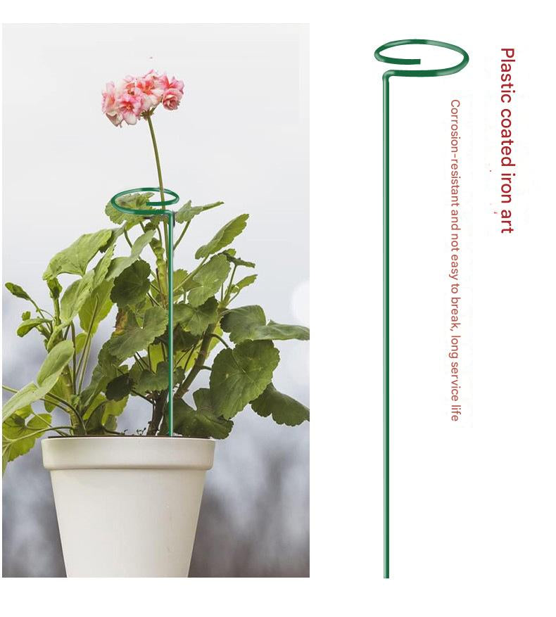 Multi-dimensional Plants Support Stick