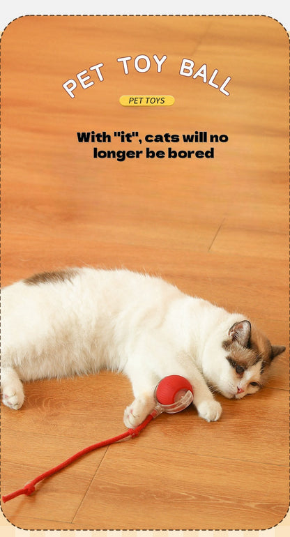 🐱 Eco-Friendly Interactive Cat Toy Ball