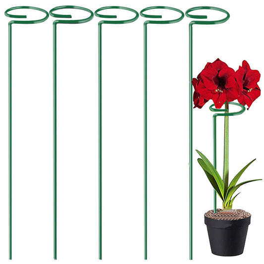Multi-dimensional Plants Support Stick