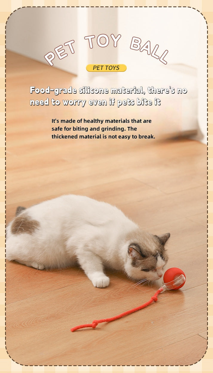 🐱 Eco-Friendly Interactive Cat Toy Ball