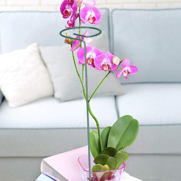Multi-dimensional Plants Support Stick