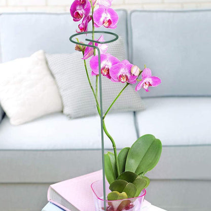 Multi-dimensional Plants Support Stick