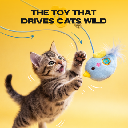 THE AUTOMATIC YO-YO TOY THAT DRIVES CATS WILD