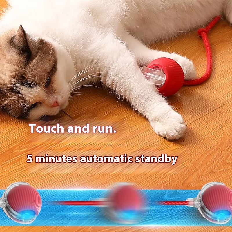 🐱 Eco-Friendly Interactive Cat Toy Ball