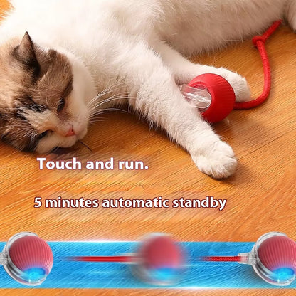 🐱 Eco-Friendly Interactive Cat Toy Ball