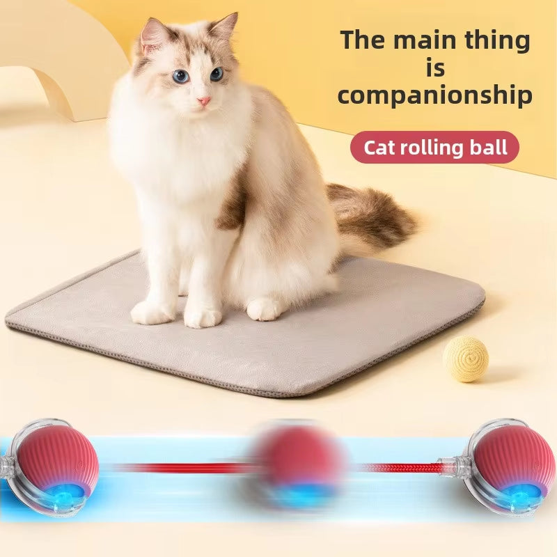 🐱 Eco-Friendly Interactive Cat Toy Ball